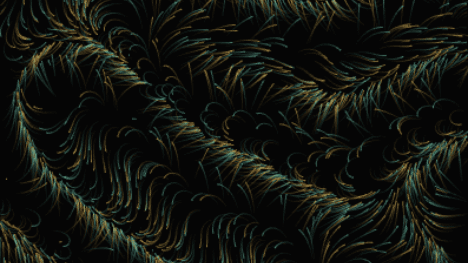 Gold and teal particle trails curling along the currents of a noise field on a black background